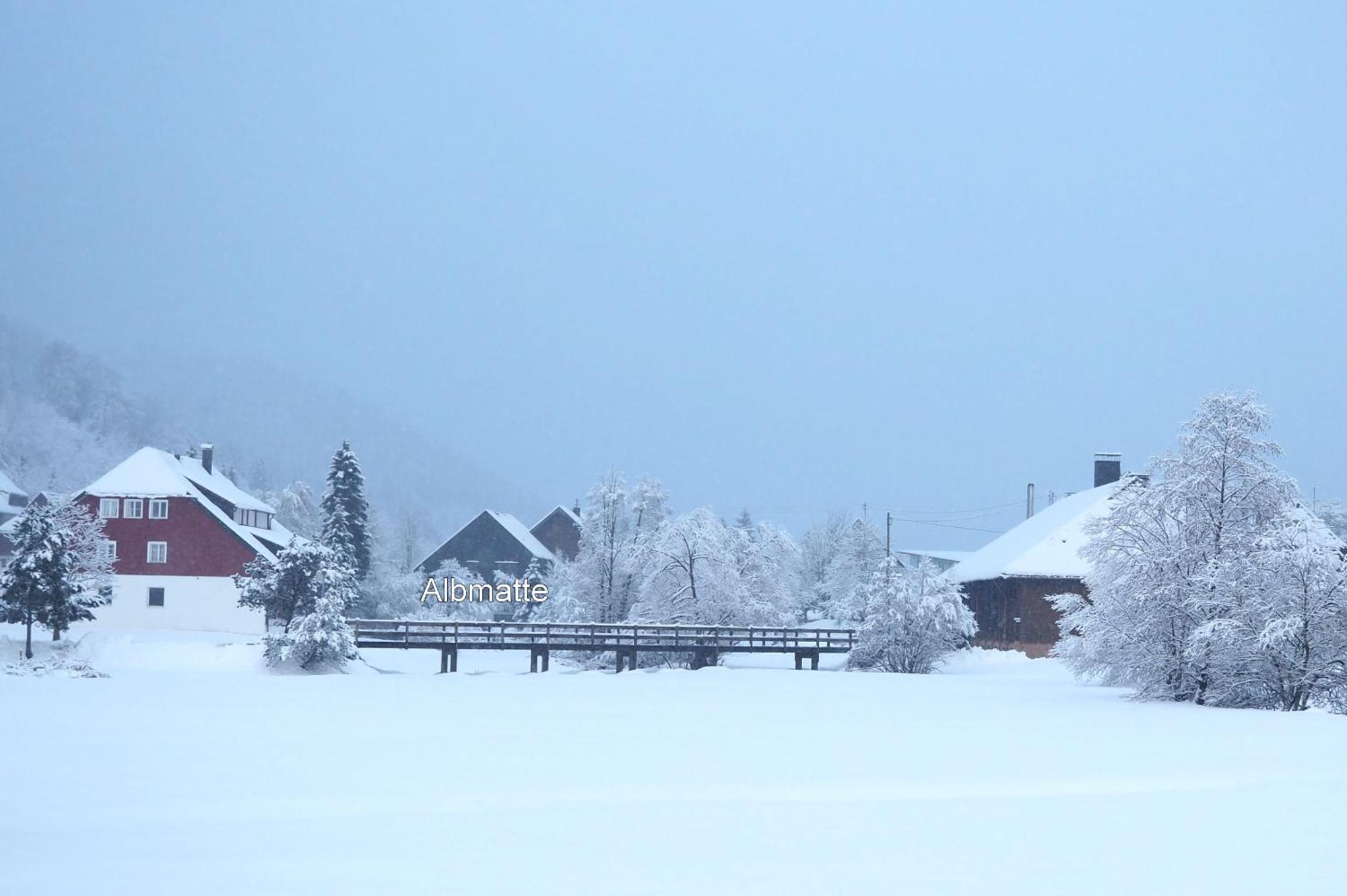 A6 Albmatte-FEWO St. Blasien Esterno foto