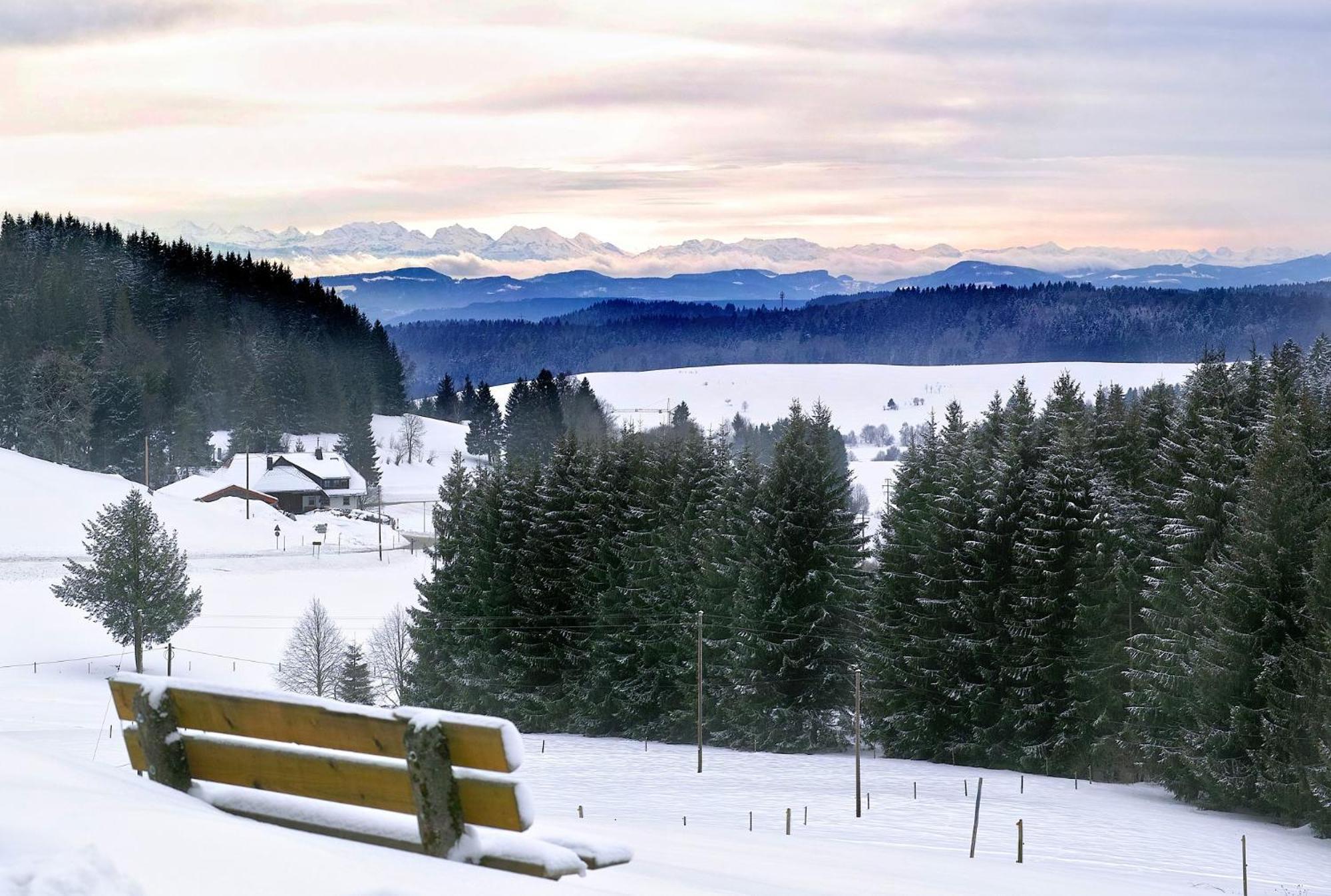 A6 Albmatte-FEWO St. Blasien Esterno foto